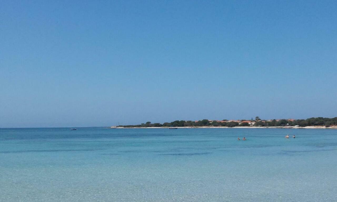 Sennariolo Alma Bed & Breakfast المظهر الخارجي الصورة