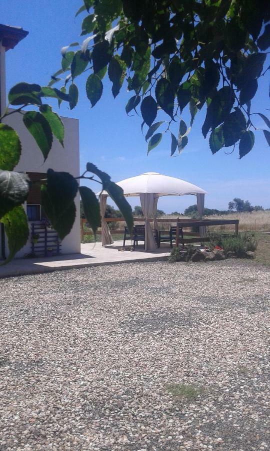 Sennariolo Alma Bed & Breakfast المظهر الخارجي الصورة