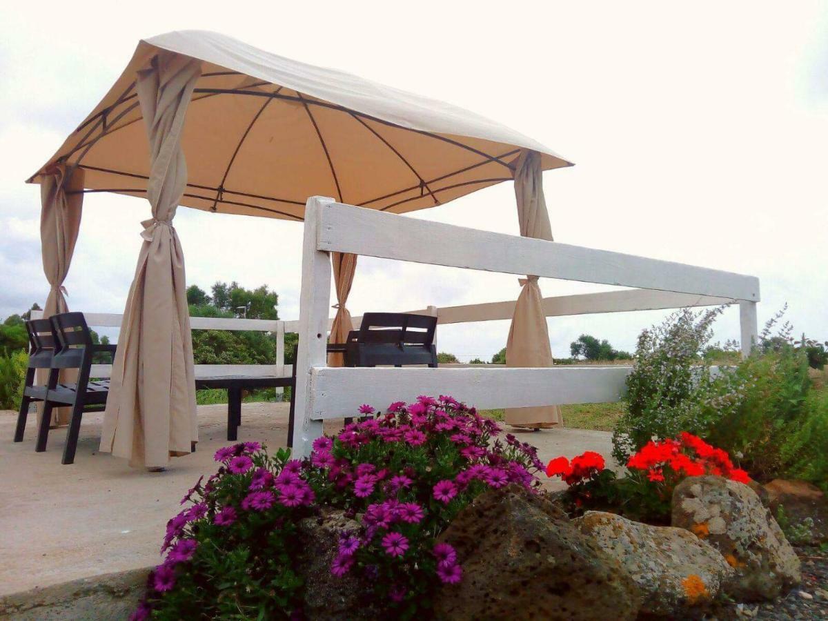 Sennariolo Alma Bed & Breakfast المظهر الخارجي الصورة